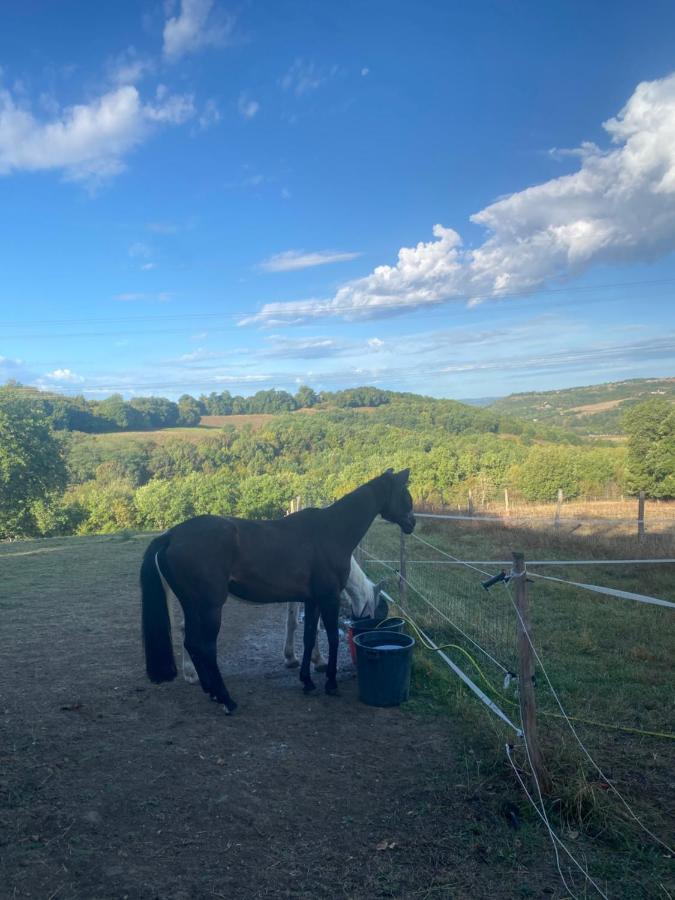 Chez Sophie - Gite Et Gite Equestre Clermont-Dessous Eksteriør billede