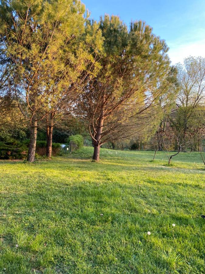 Chez Sophie - Gite Et Gite Equestre Clermont-Dessous Eksteriør billede